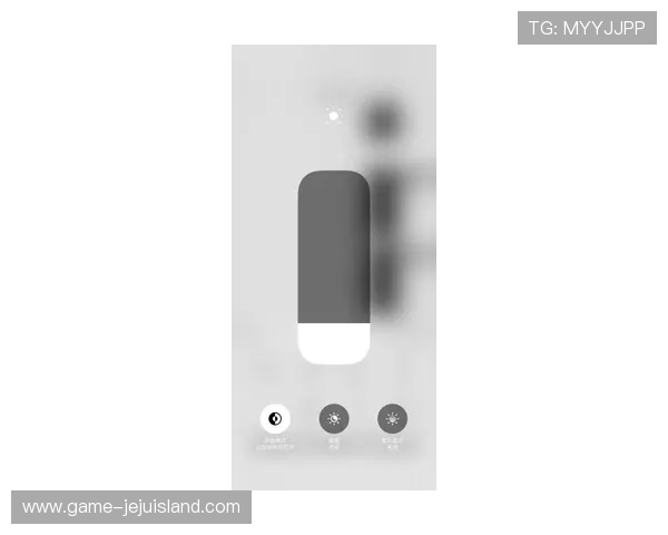 必赢手机官网用户评价与反馈，真实用户体验分享与常见问题解答汇总